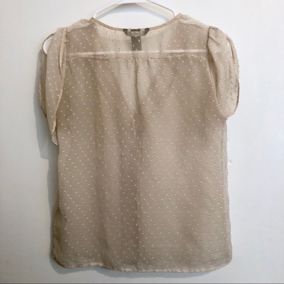 Sheer Top - Picture 5 of 5